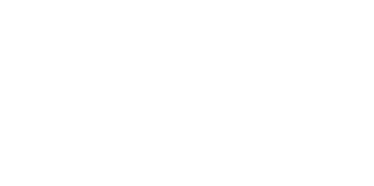 nuli logo